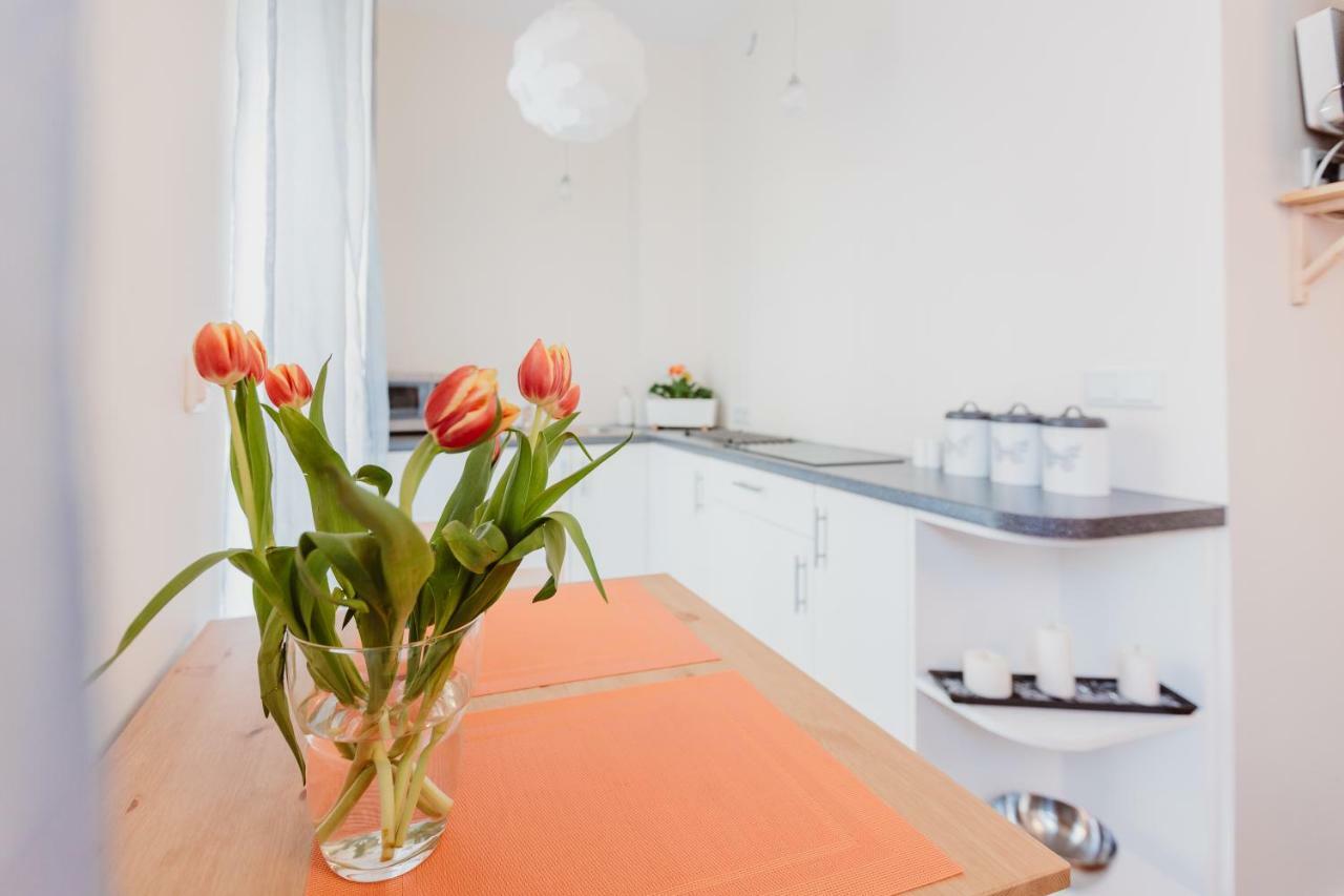Garden Apartment Cracovie Extérieur photo